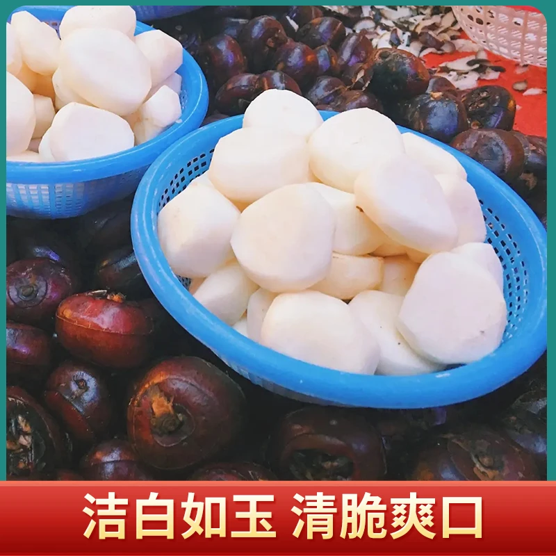 去皮大果精选马蹄新鲜现挖荸荠大地脆栗梨农家水果饽荠蔬菜1斤