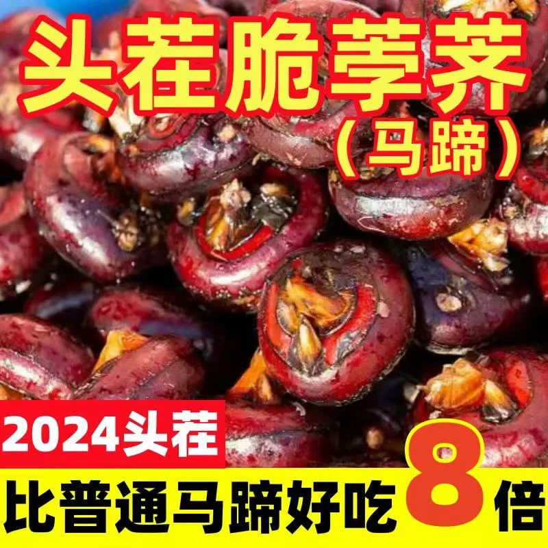 安徽新鲜马蹄荸荠地栗现挖带泥1斤/3斤/5斤多汁当季水果大果清脆