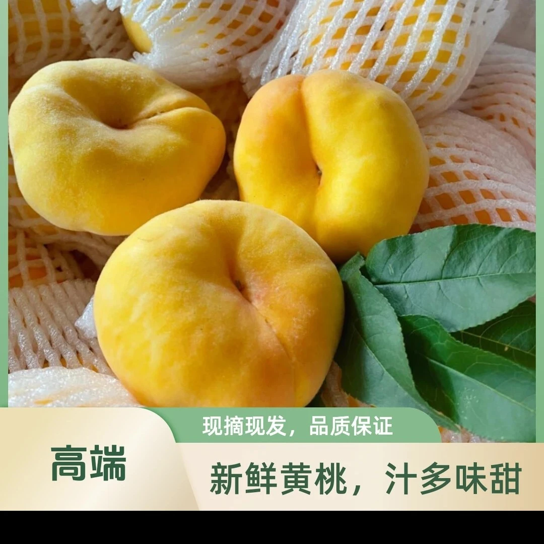 山西黄金蟠桃毛蟠桃现摘脆软两吃鲜香甜美味自然皮薄多汁产地发货