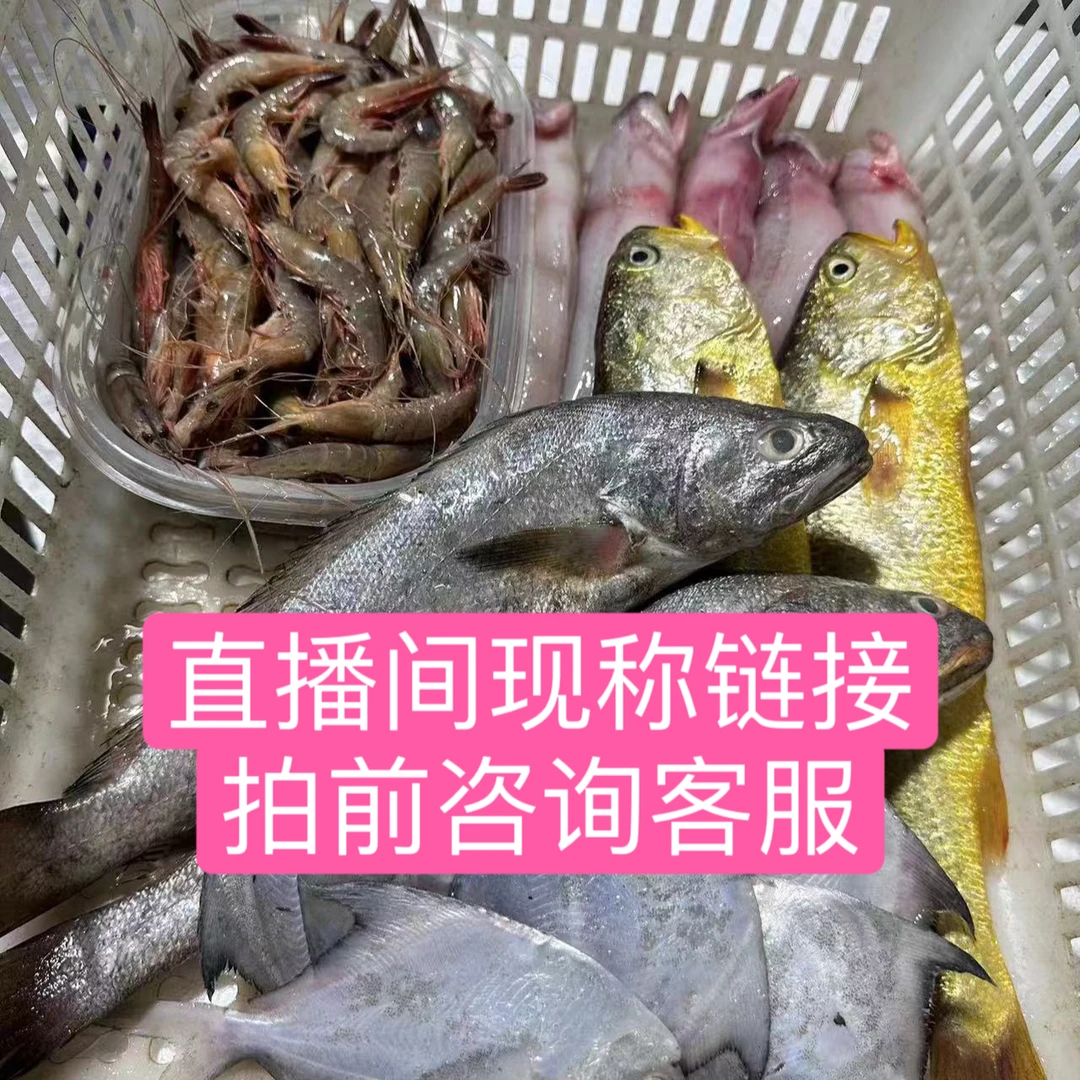 【直播间现卖现称②】海鲜套餐杂鱼东海小海鲜