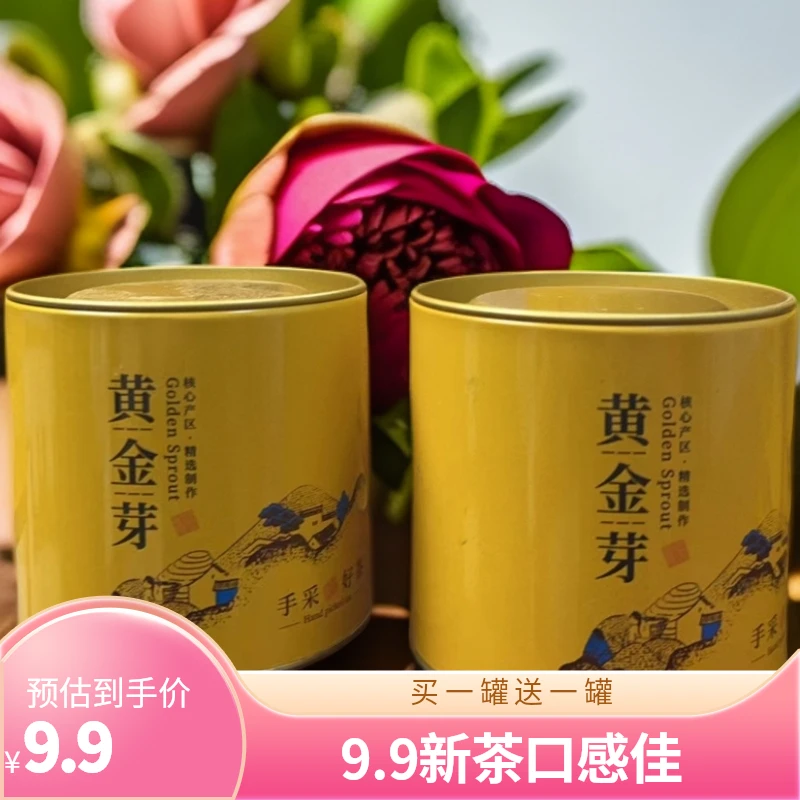 新茶雨前黄金芽福利浓香耐泡厂家直发买一罐送一罐