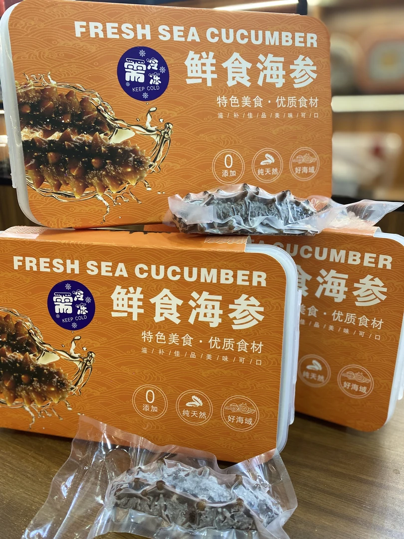 鲜食海参 大连辽参免泡发口感Q弹 6-8-10只一盒净重450g 冷冻保存