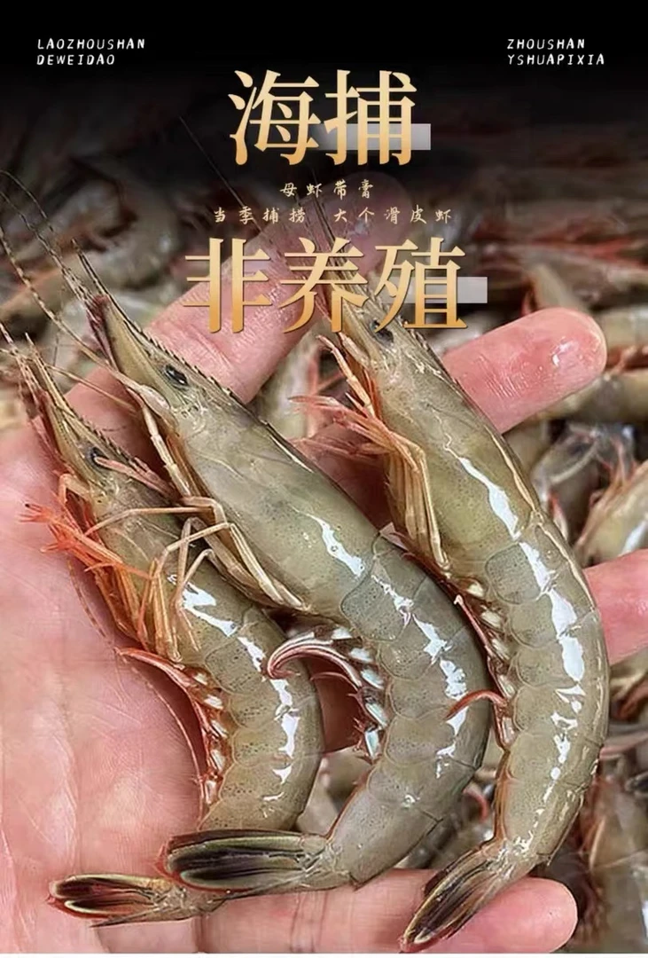 东海野生海捕滑皮虾深海青壳虾3斤顺丰冷链包邮