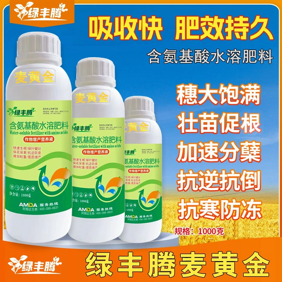 麦黄金控旺促分蘖抗寒防冻壮苗促根抗逆抗倒伏穗大仔粒饱小麦专用