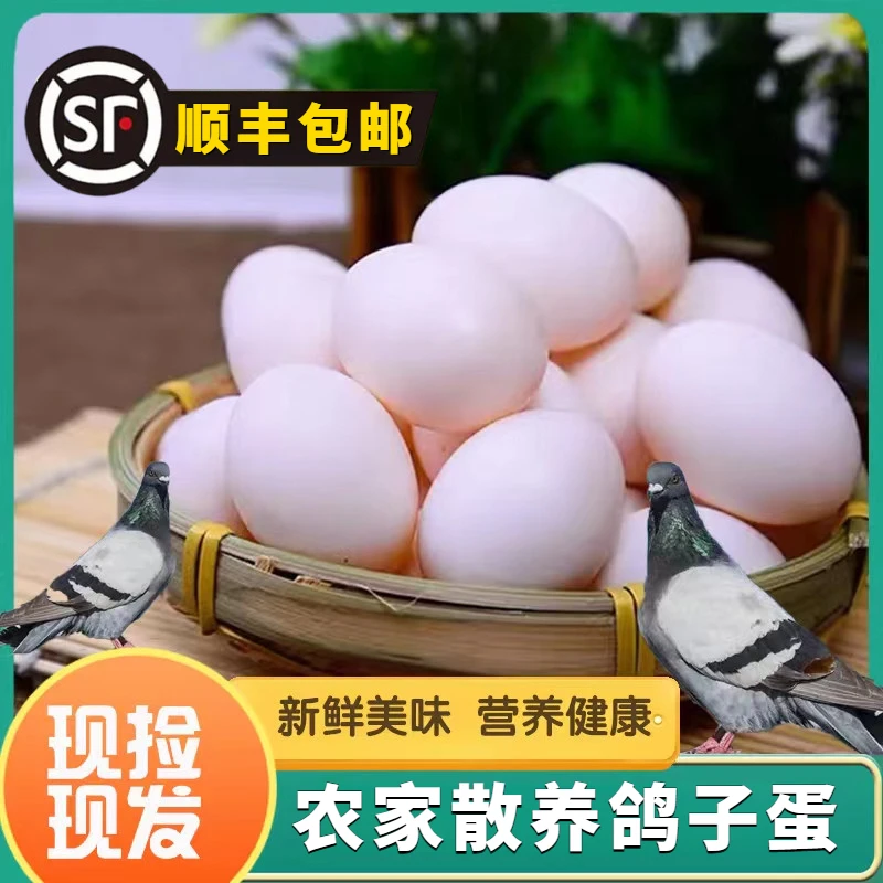 新鲜鸽子蛋优质顺丰包邮农家散养土鸽蛋杂粮喂养孕妇宝宝营养健康