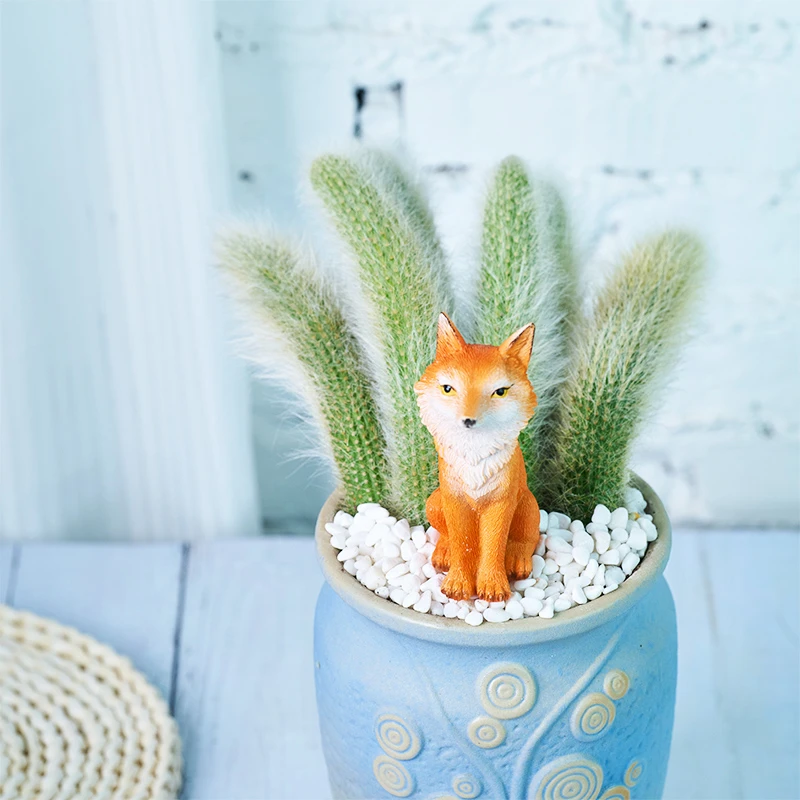 仙人球九尾狐单头高15-25公分精美实物裸根发货