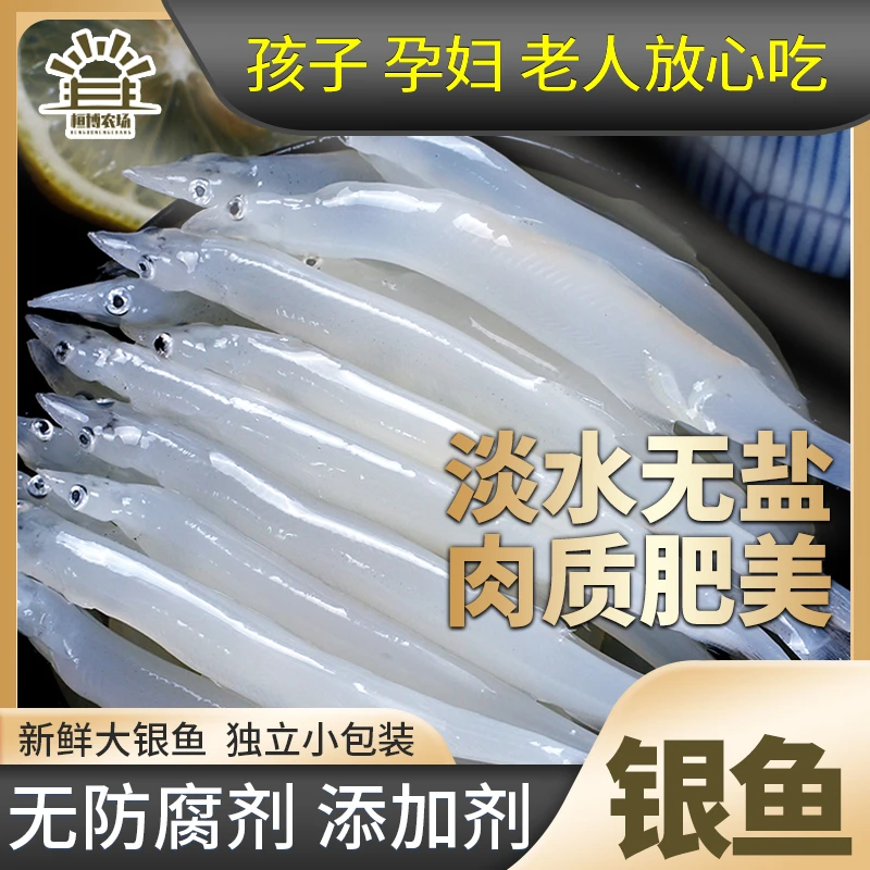 高钙高蛋白苏州银鱼食用三白银鱼新鲜鲜活淡水辅食无刺营养