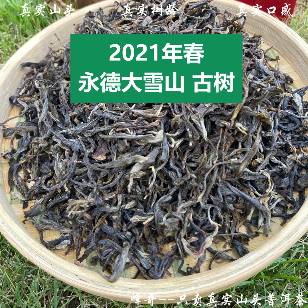 〖峰哥保真〗永德大雪山纯料 古树混采 2021年春茶 普洱生茶 散茶