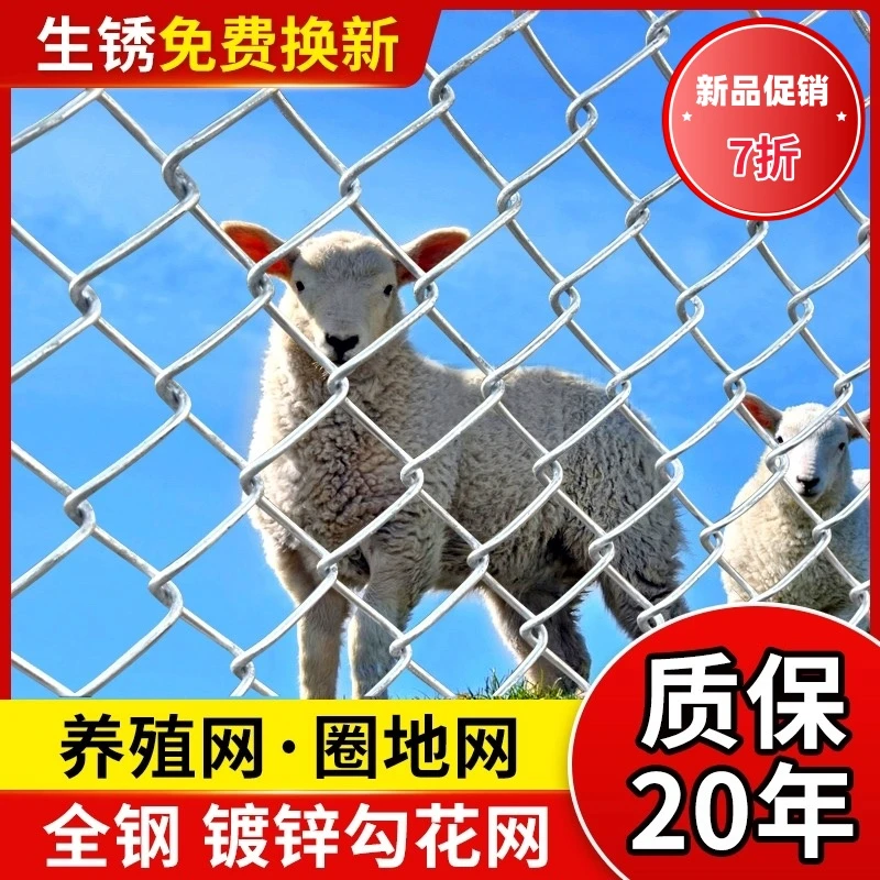 镀锌钢丝网勾花铁丝网围栏网养殖网护栏狗牛羊猪菱形不锈防护围网