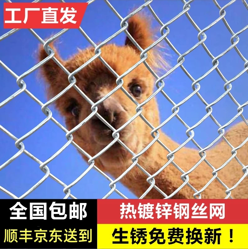 热镀锌铁丝网围栏网不锈钢丝网格家用防护栏网勾花网户外栅栏养殖