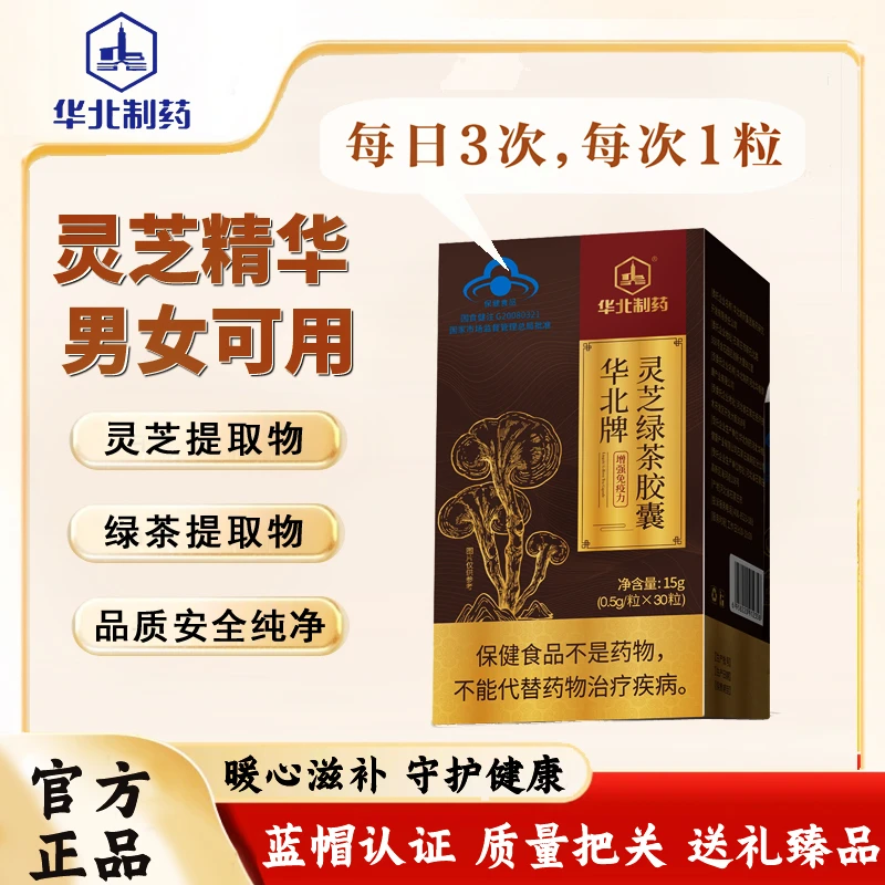 华北制药灵芝绿茶胶囊增强免疫力保健 0.5g/粒*30粒/瓶