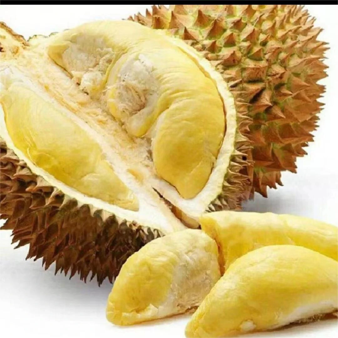 金枕榴莲一物一拍1