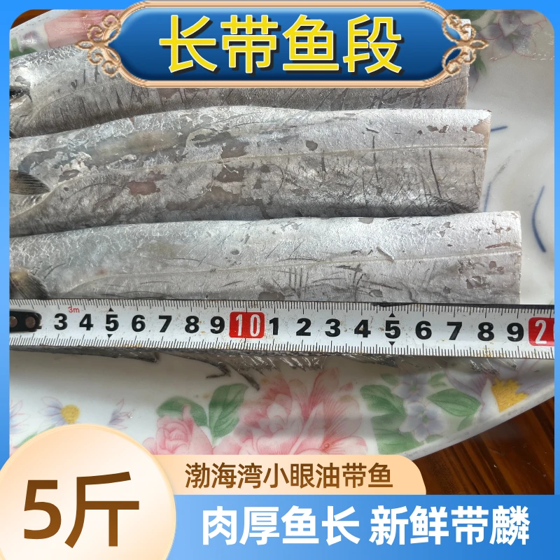 5斤小眼油带鱼新鲜冷冻刀鱼中段大号深海鱼无冰鲜去头尾国产海鲜
