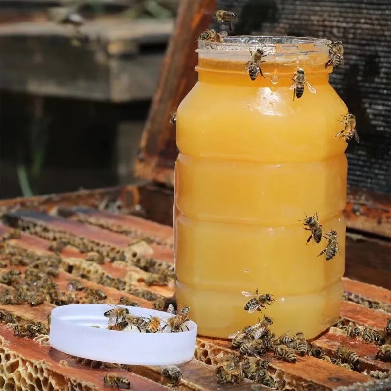 （主播浮力品自家店铺）青海枸杞蜂蜜1斤装蜂蜜500克食用秋季