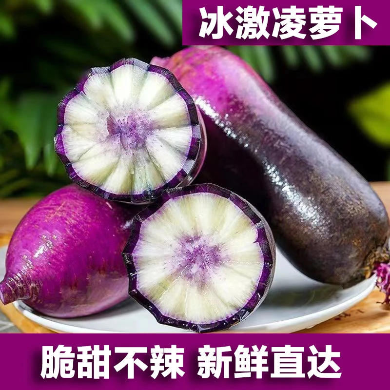 山东冰激凌萝卜3斤5斤紫皮不辣冰糖心潍坊冰淇淋生吃水果紫色萝卜