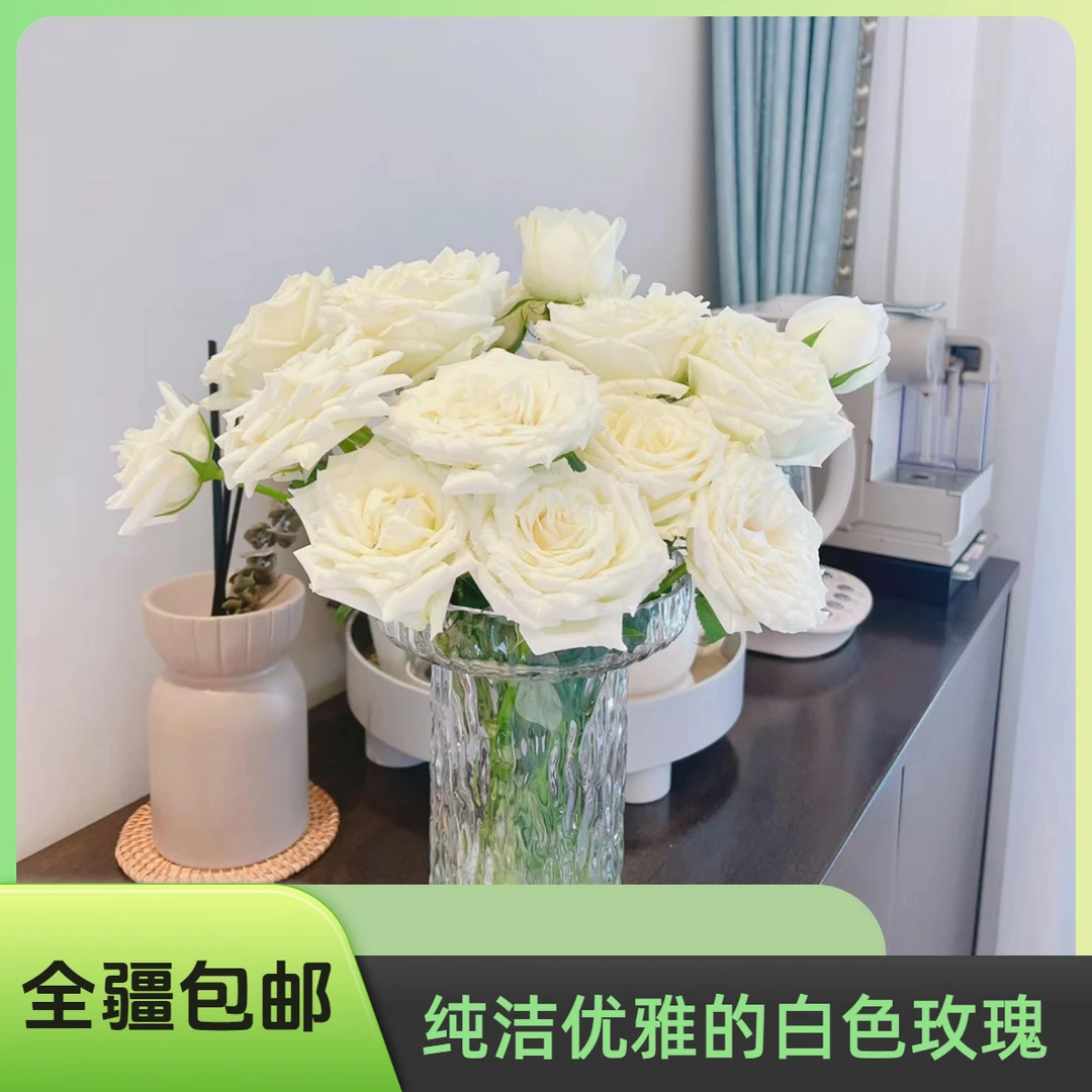 坦尼克白玫瑰15枝+5枝不售后介意勿拍（新疆发货 全疆包邮）
