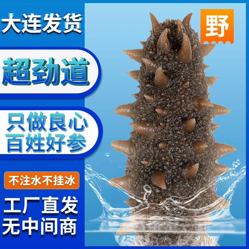 辽刺参肉质肥厚独立包装顺丰包邮口感筋道