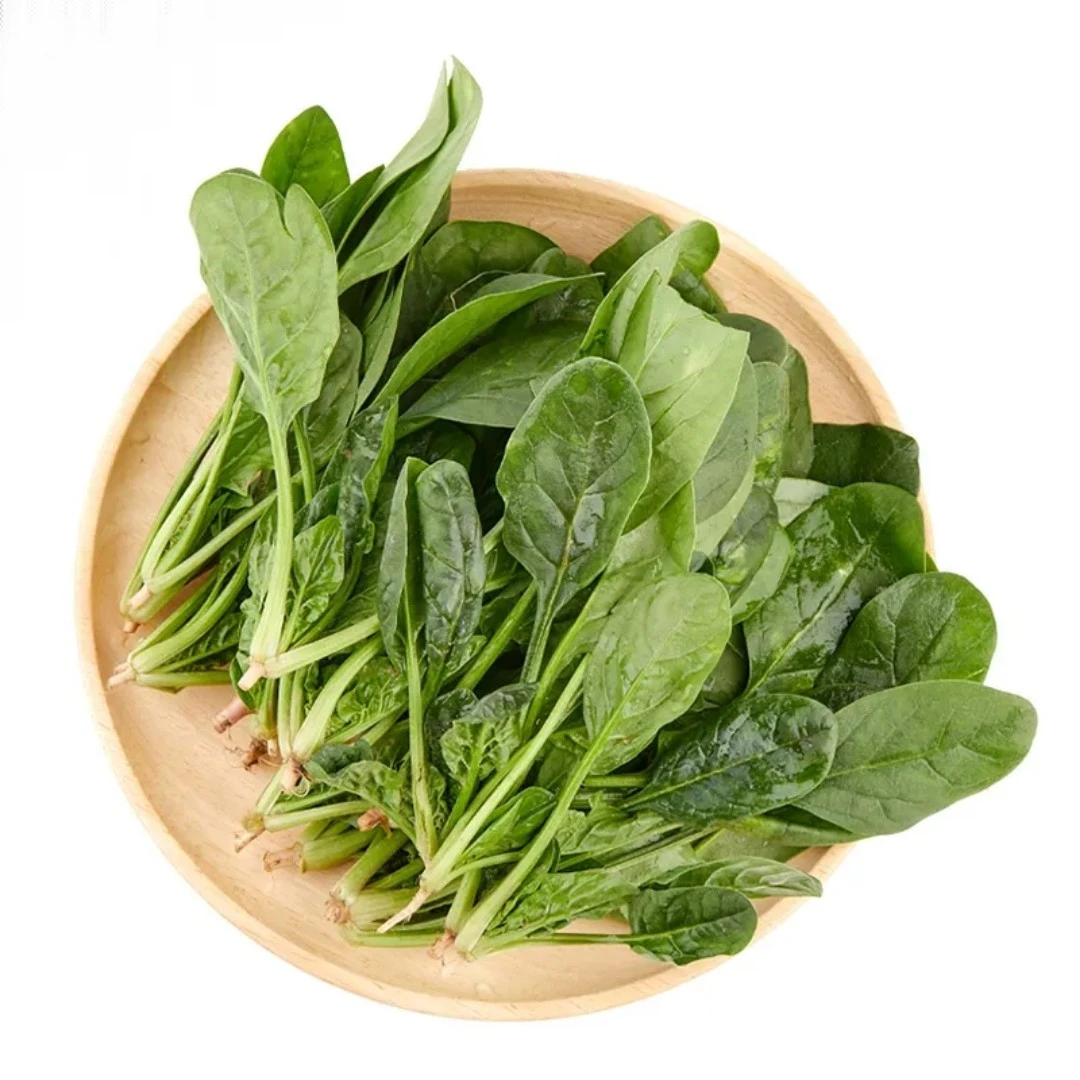 【菠菜】现摘现发精品菠菜京东生鲜到家
