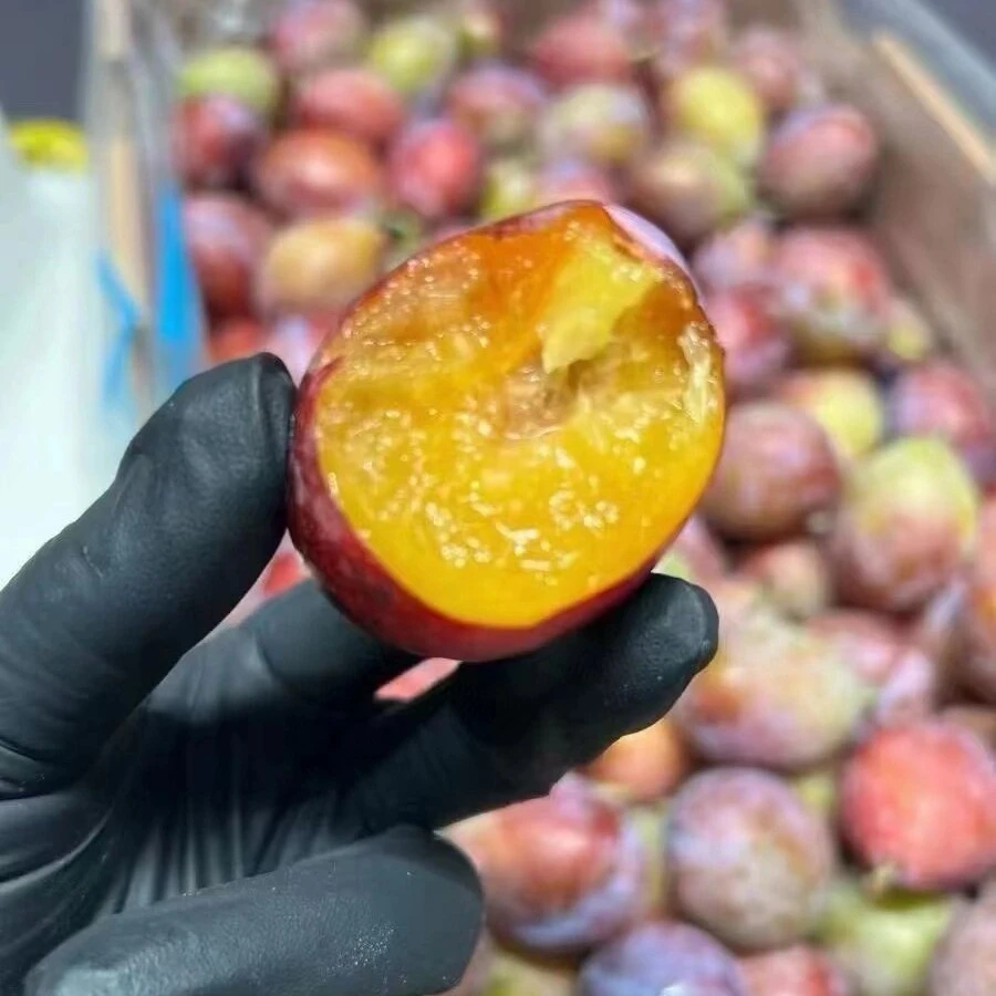【糖心专属西梅】新疆西梅新鲜当季水果酸甜多汁净重4斤精品