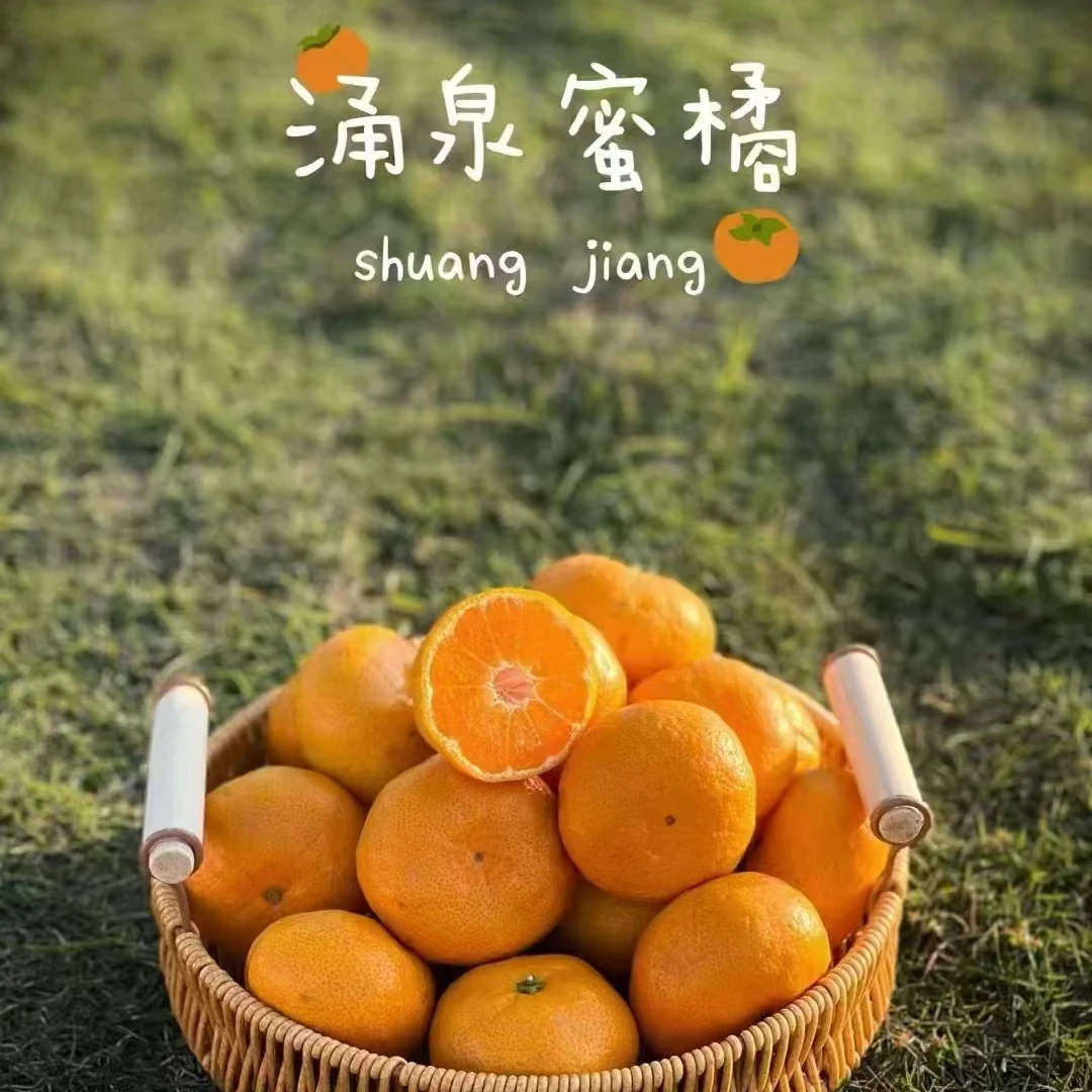 【顺丰发货】正宗临海【涌泉蜜橘】当季新鲜水果5斤礼盒装浙江台州