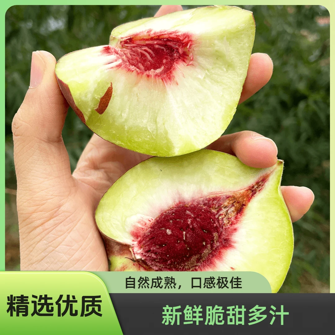 山东青州蜜桃离核脆甜冬雪蜜桃小桃子秋冬桃新鲜应季毛桃