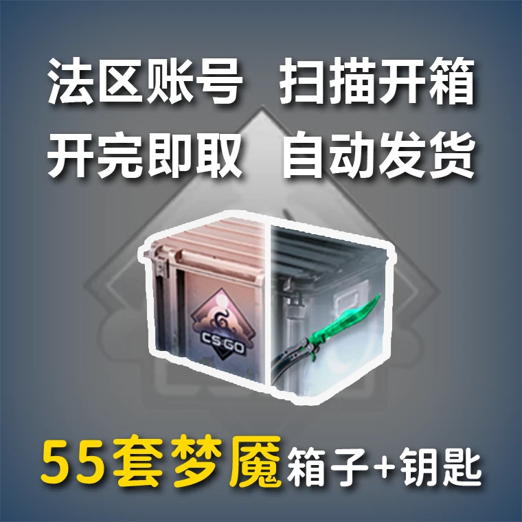 55套起 法区 梦魇 武器箱+钥匙 CS2自开号CSGO
