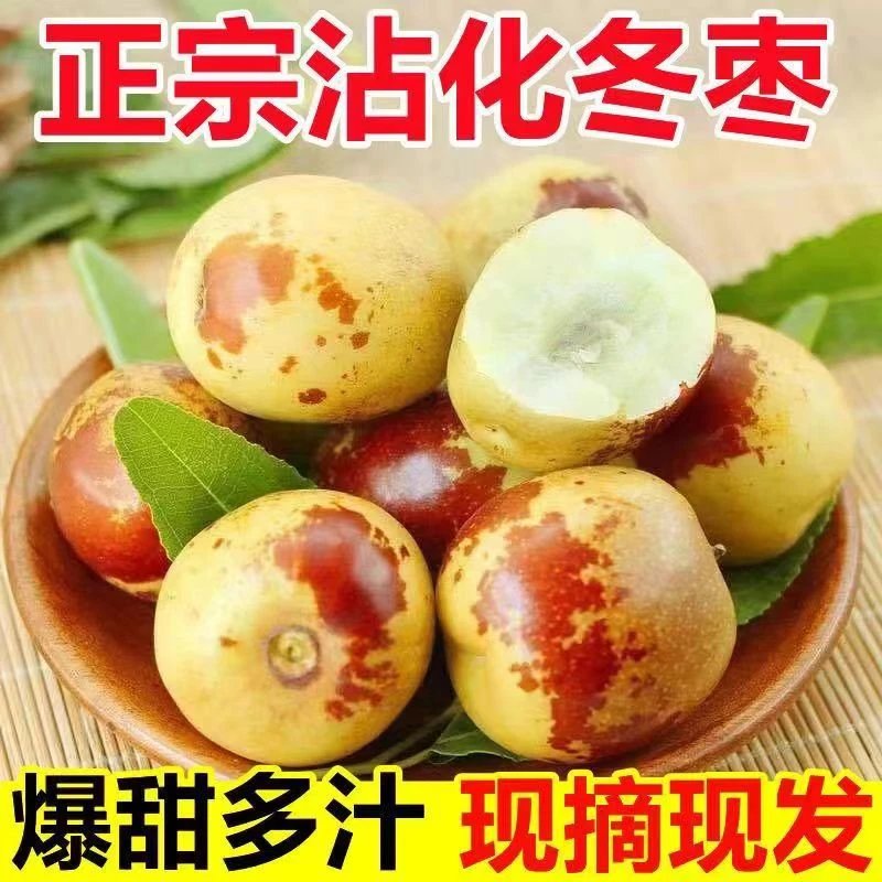 【京东发货】山东沾化冬枣果园新鲜采摘现摘现发脆甜大枣应季水果1