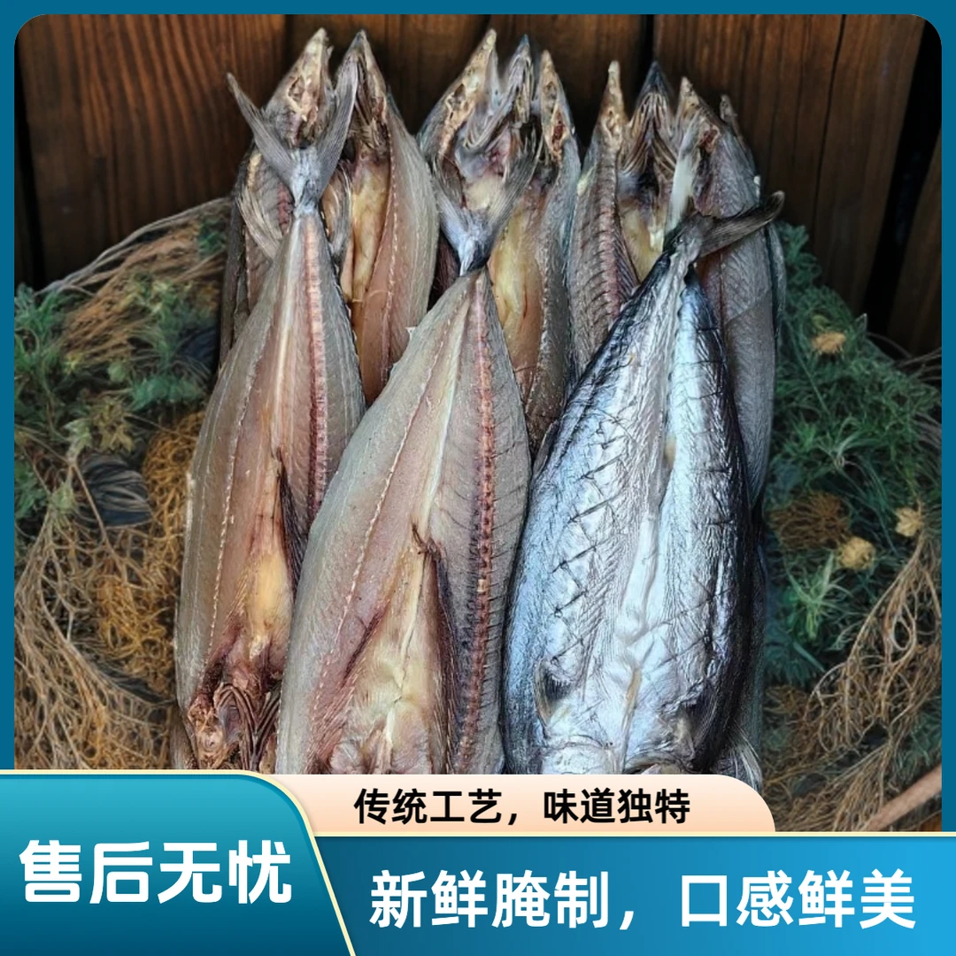 青岛本地鲅鱼干 新鲜晾晒