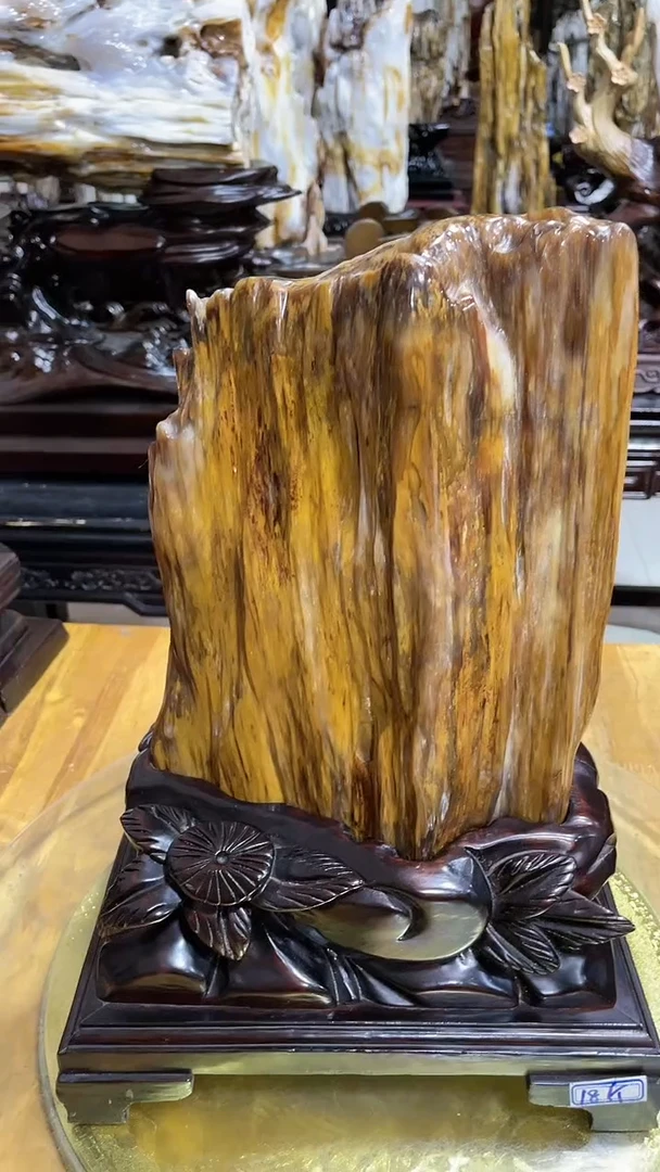 【闪购商品】硅化玉珠宝奇石未镶嵌1