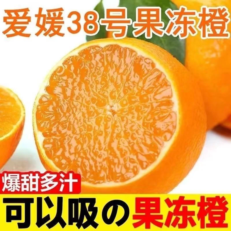 四川爱媛38号果冻橙当季橙子水果新鲜香甜薄皮手剥橙子冰糖甜橙