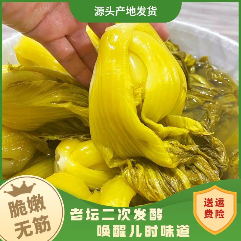 酸菜鱼酸菜古法正宗老坛酸菜400g/袋脆嫩无筋开胃酸爽二次发酵