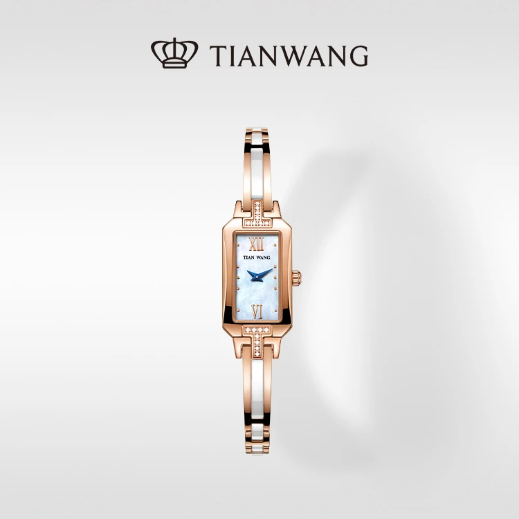 天王表俪姿系列女士手表商场同款时尚气质小方表国表石英钢带3864