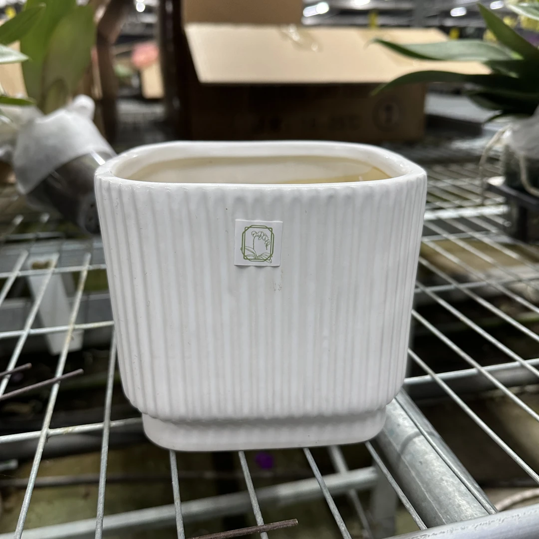 悠花里高档陶瓷大花盆白色