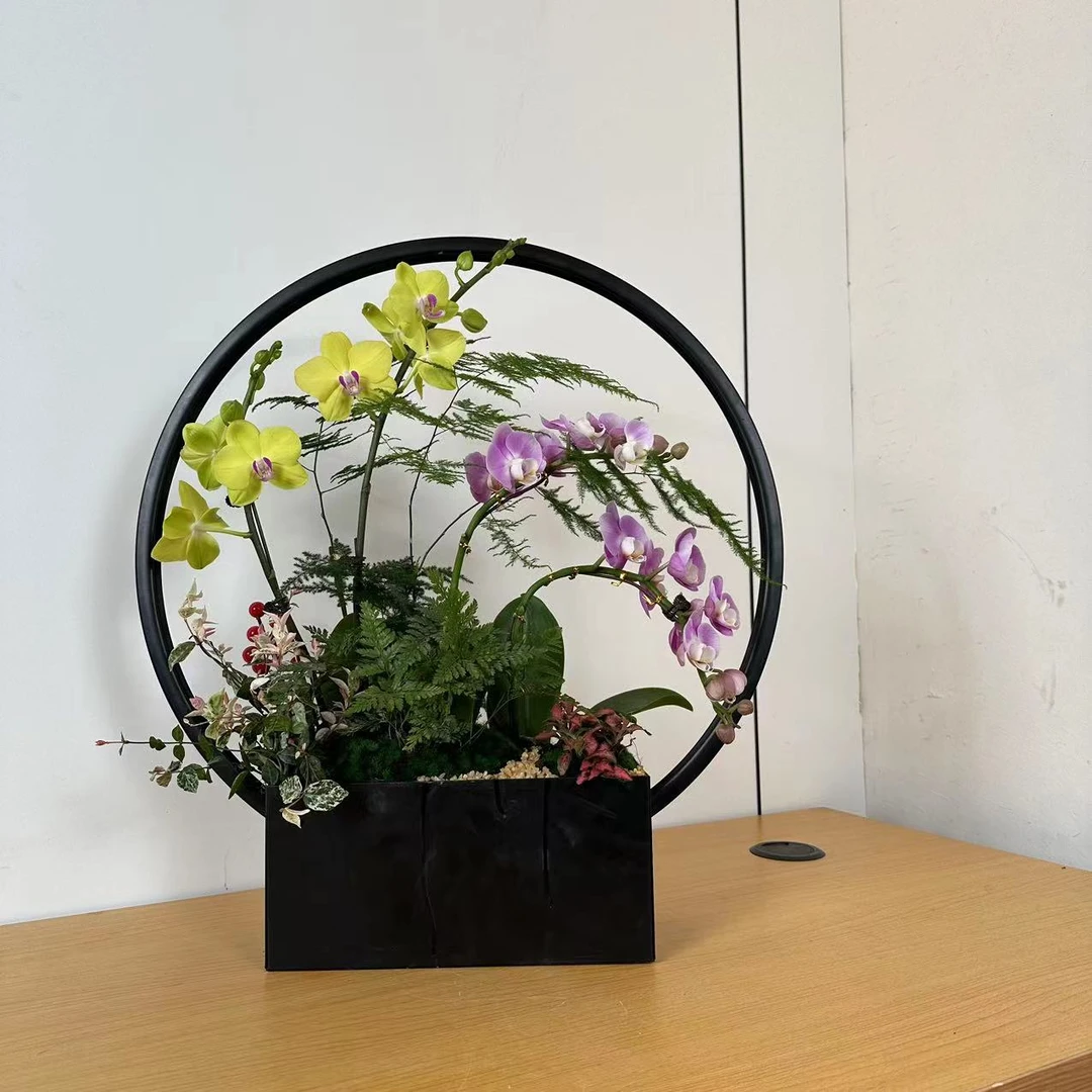 悠花里蝴蝶兰花篮3（超好看）带花带花苞发货