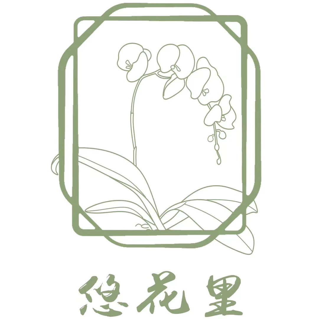 悠花里蝴蝶兰【水蜜桃2.8寸】开花珠发货