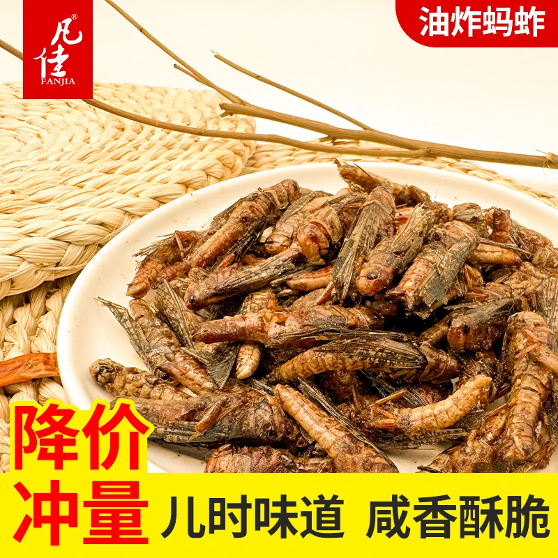 （香脆）昆虫美食下酒菜带翅香酥蚱蜢香脆油炸蝗虫山东特产香辣孜然
