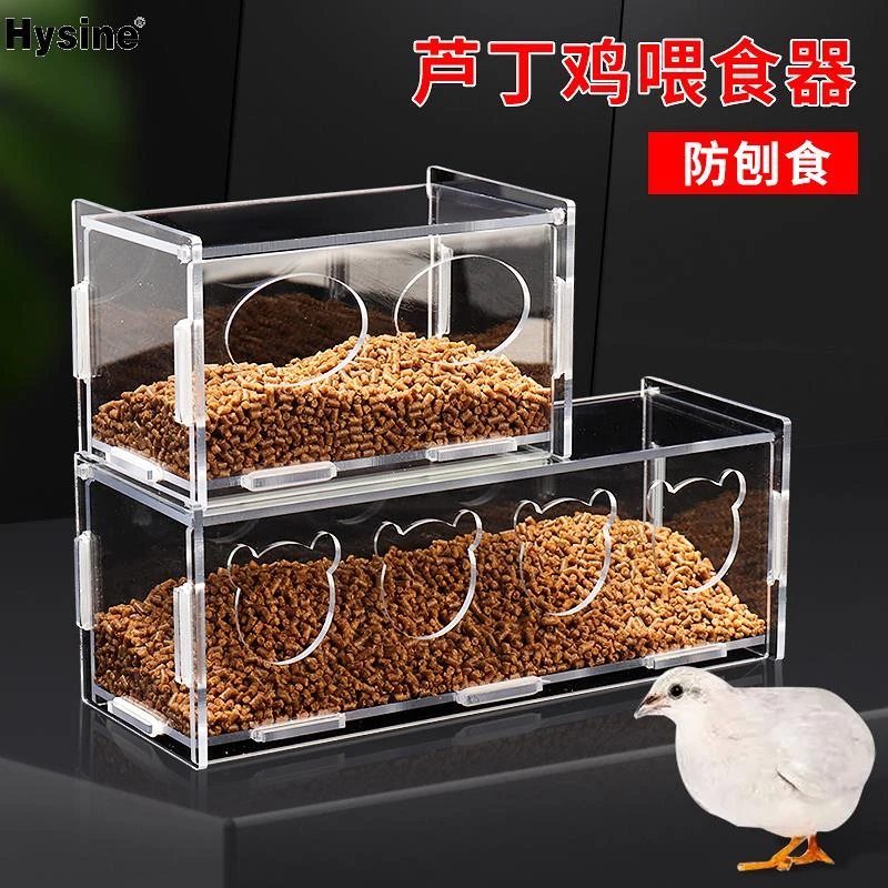 芦丁鸡喂食器食槽防撒防溅喂食盒芦丁鸡喂食台饲料盒芦丁鸡喂水器