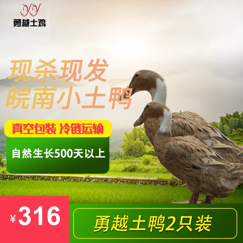勇越小土鸭原生态散养【两只装】1800g