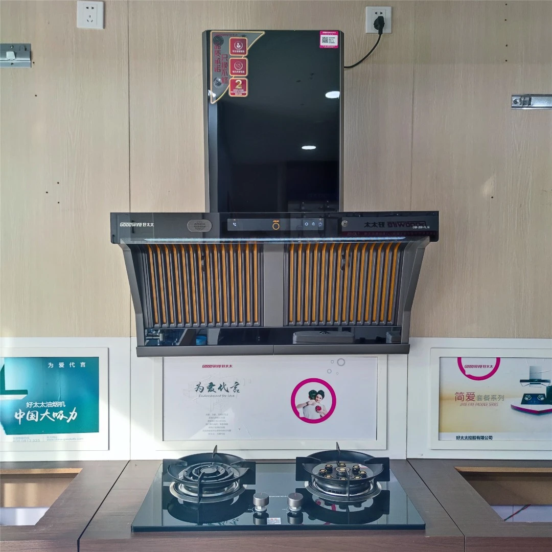 GOODWIFE好太太FL16烟机H2060鸳鸯猛火燃气灶顶侧语音