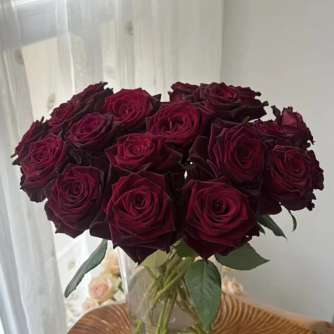 【藩篱匠人/黑巴克】单头玫瑰丝绒质感 家养鲜切花