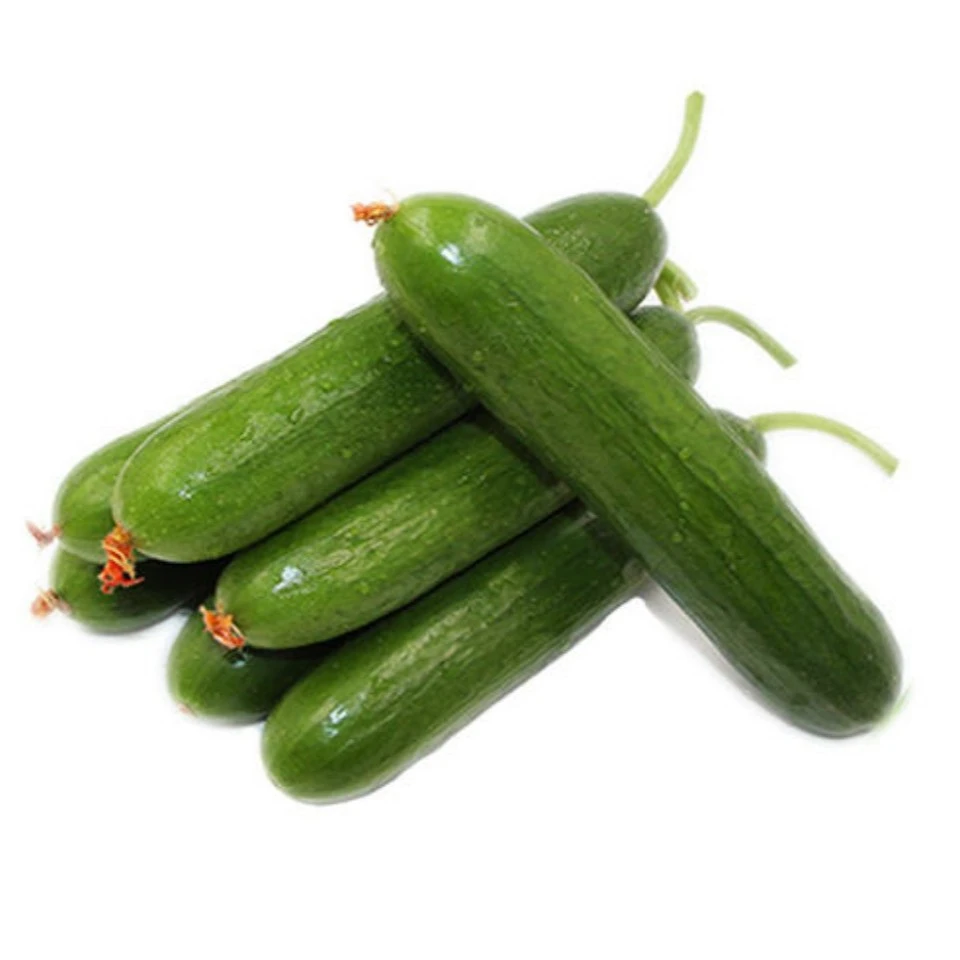 荷兰水果黄瓜约0.7-0.8斤/份（2-3根）