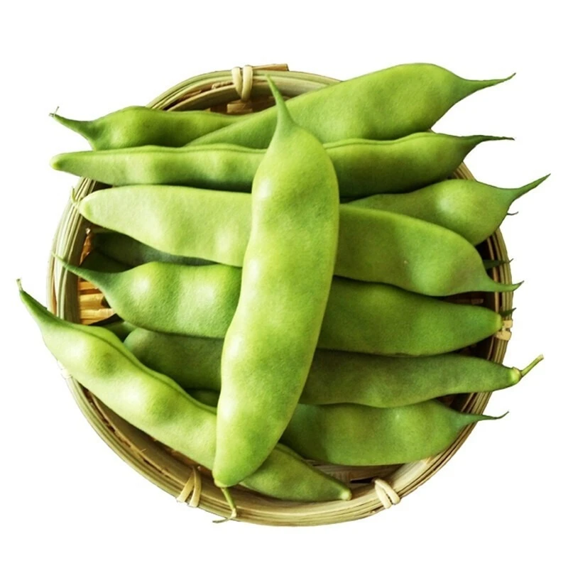 梨树绿油豆角约300±20g/份