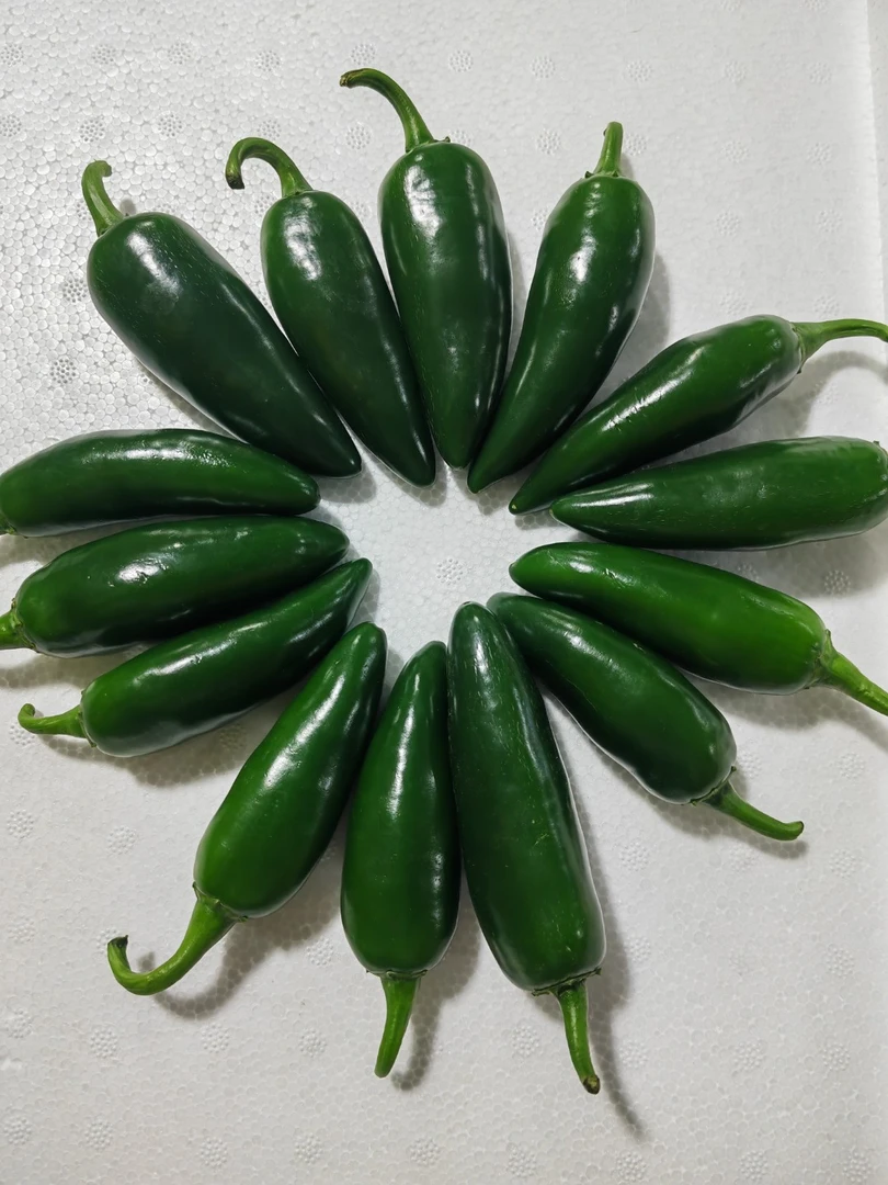 北京港椒约200g/份