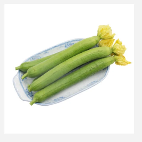 北京精品丝瓜约200g-300g