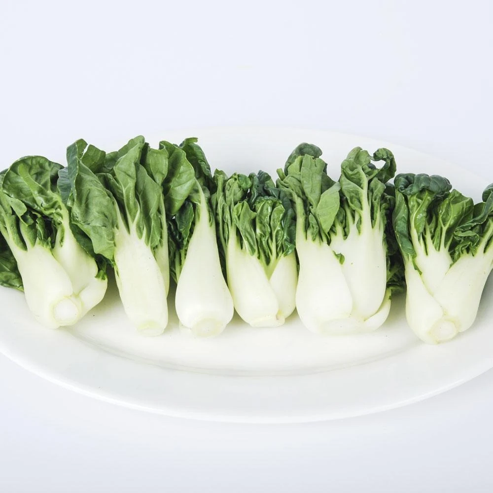 广东直发斗白约300g左右/份