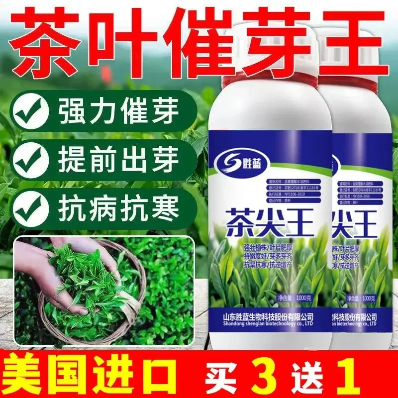 茶叶催芽剂茶叶催芽920叶面肥芽多芽嫩芽壮厚茶叶抗病增产催芽素