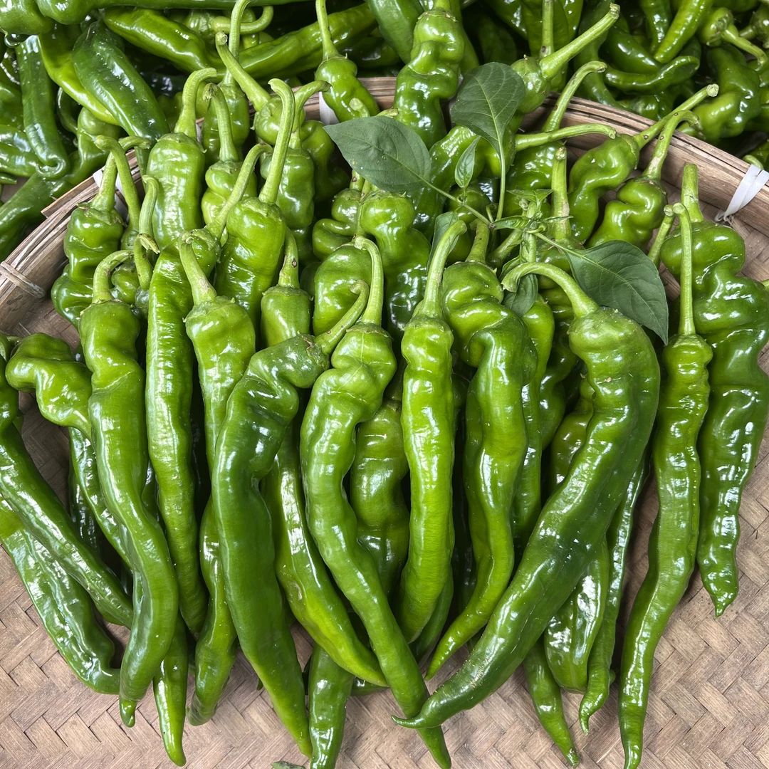 特辣软香辣辣椒新鲜青椒薄皮超辣农家自种应季蔬菜现摘2斤3斤5斤