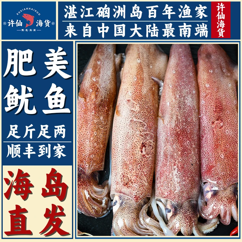 【海岛顺丰】深海捕捞鱿鱼现捕现冻火箭鱿鱼批发鱿鱼新鲜带籽冰鲜