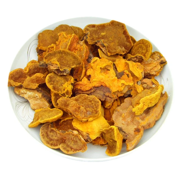 云南-边境-特产  桑黄  半斤250g（包邮）