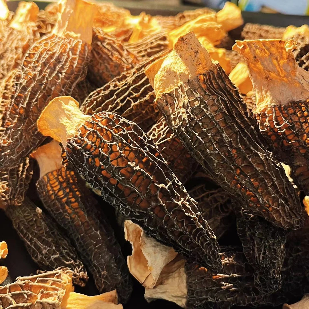 【肥妈精选】头茬羊肚菌 厚肉 滋补无硫 煲汤炖汤材料